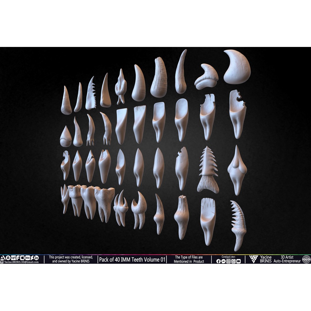 Pack of 40 IMM Teeth 3D Model – Anatomically Inspired Dental Assets for ZBrush - View 7