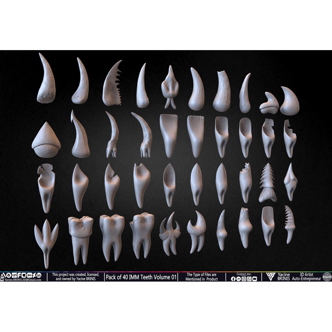 Pack of 40 IMM Teeth 3D Model – Anatomically Inspired Dental Assets for ZBrush - View 8
