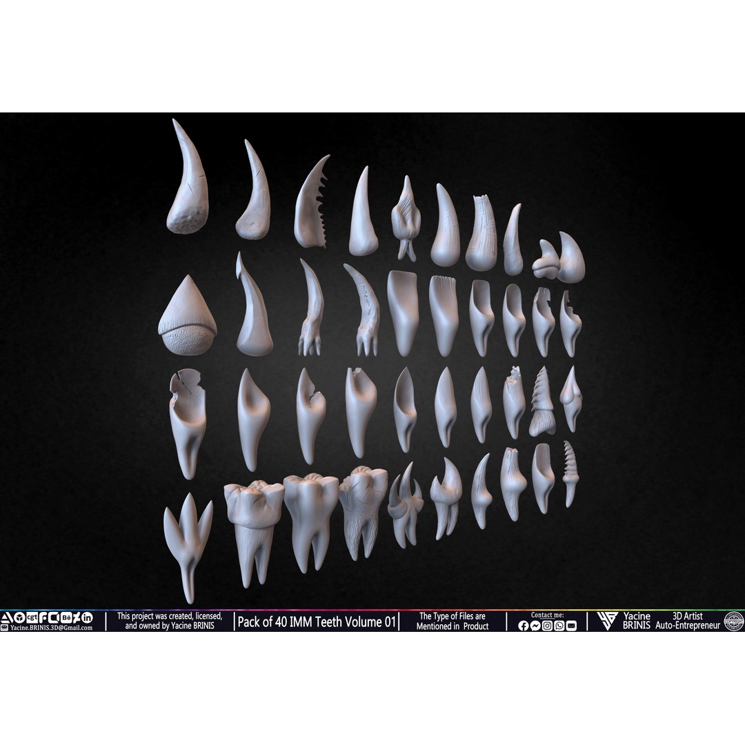 Pack of 40 IMM Teeth 3D Model – Anatomically Inspired Dental Assets for ZBrush - View 9
