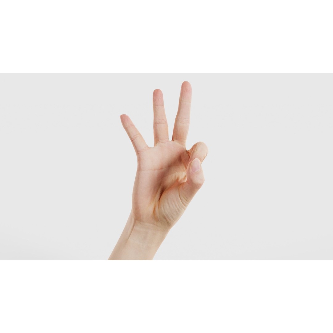 Hand Gesture 3D Model – Low Poly Character with PBR Textures, FBX