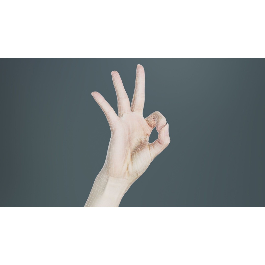 Hand Gesture 3D Model – Low Poly Character with PBR Textures, FBX - View 11