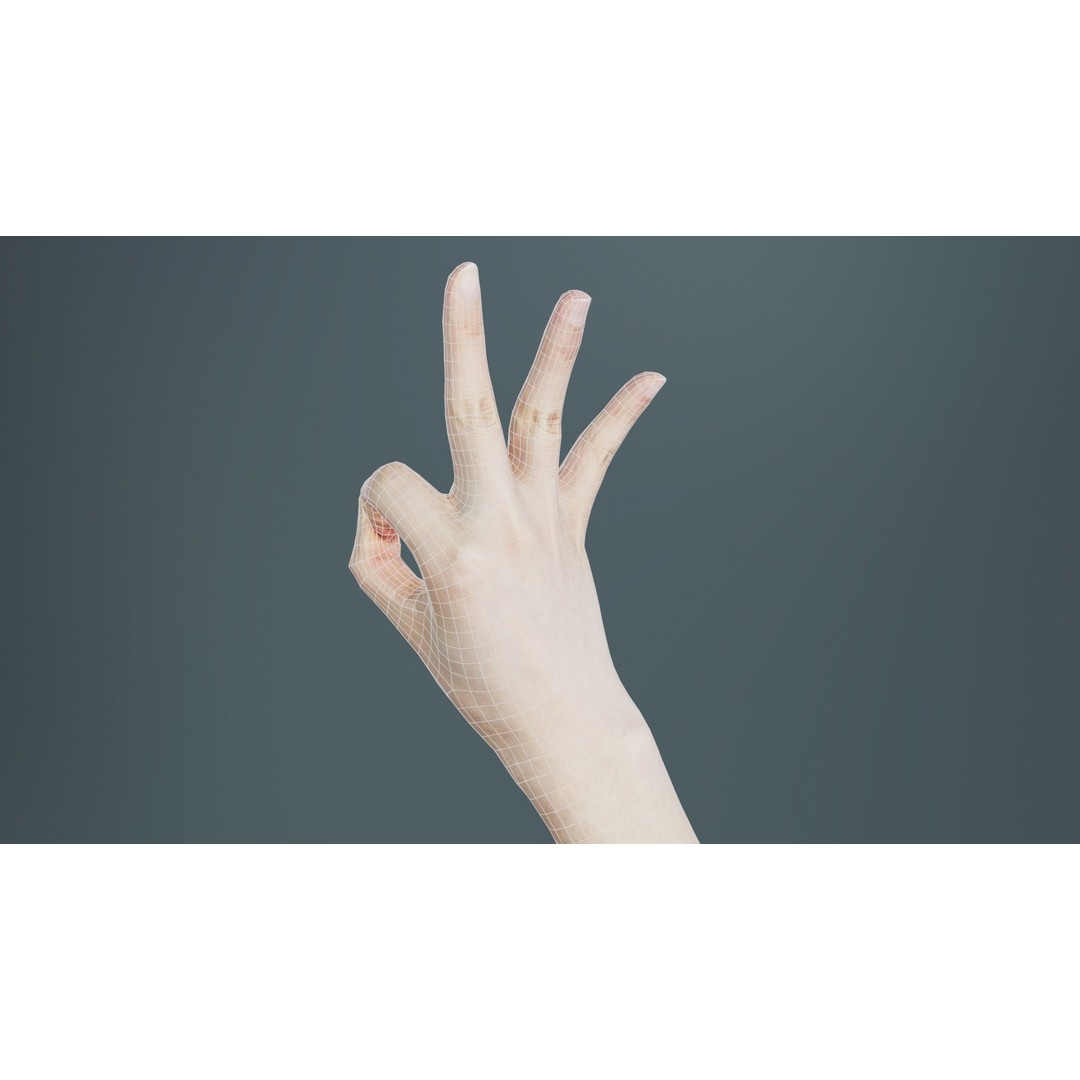 Hand Gesture 3D Model – Low Poly Character with PBR Textures, FBX - View 12