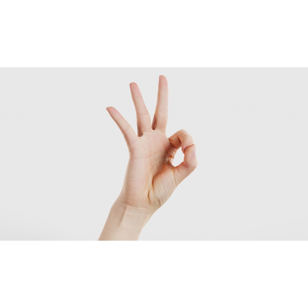 Hand Gesture 3D Model – Low Poly Character with PBR Textures, FBX - View 17