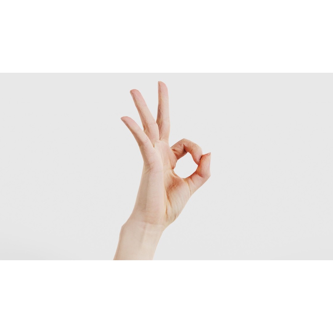 Hand Gesture 3D Model – Low Poly Character with PBR Textures, FBX - View 18