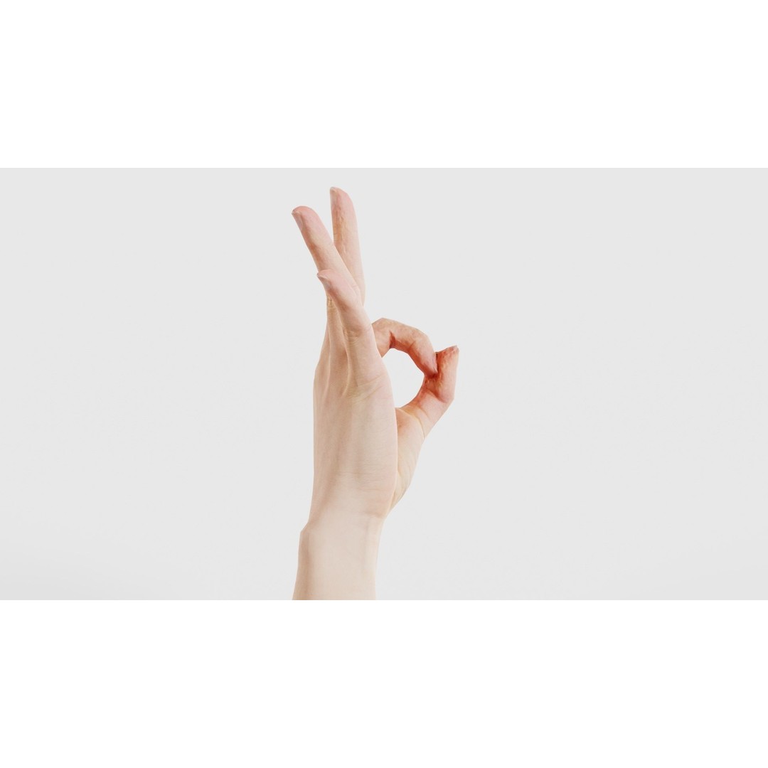 Hand Gesture 3D Model – Low Poly Character with PBR Textures, FBX - View 19