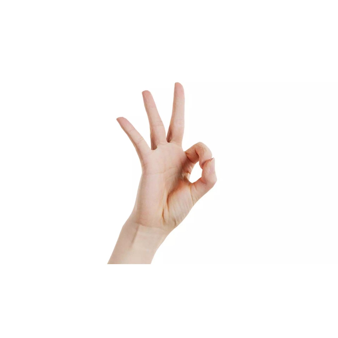 Hand Gesture 3D Model – Low Poly Character with PBR Textures, FBX - View 2