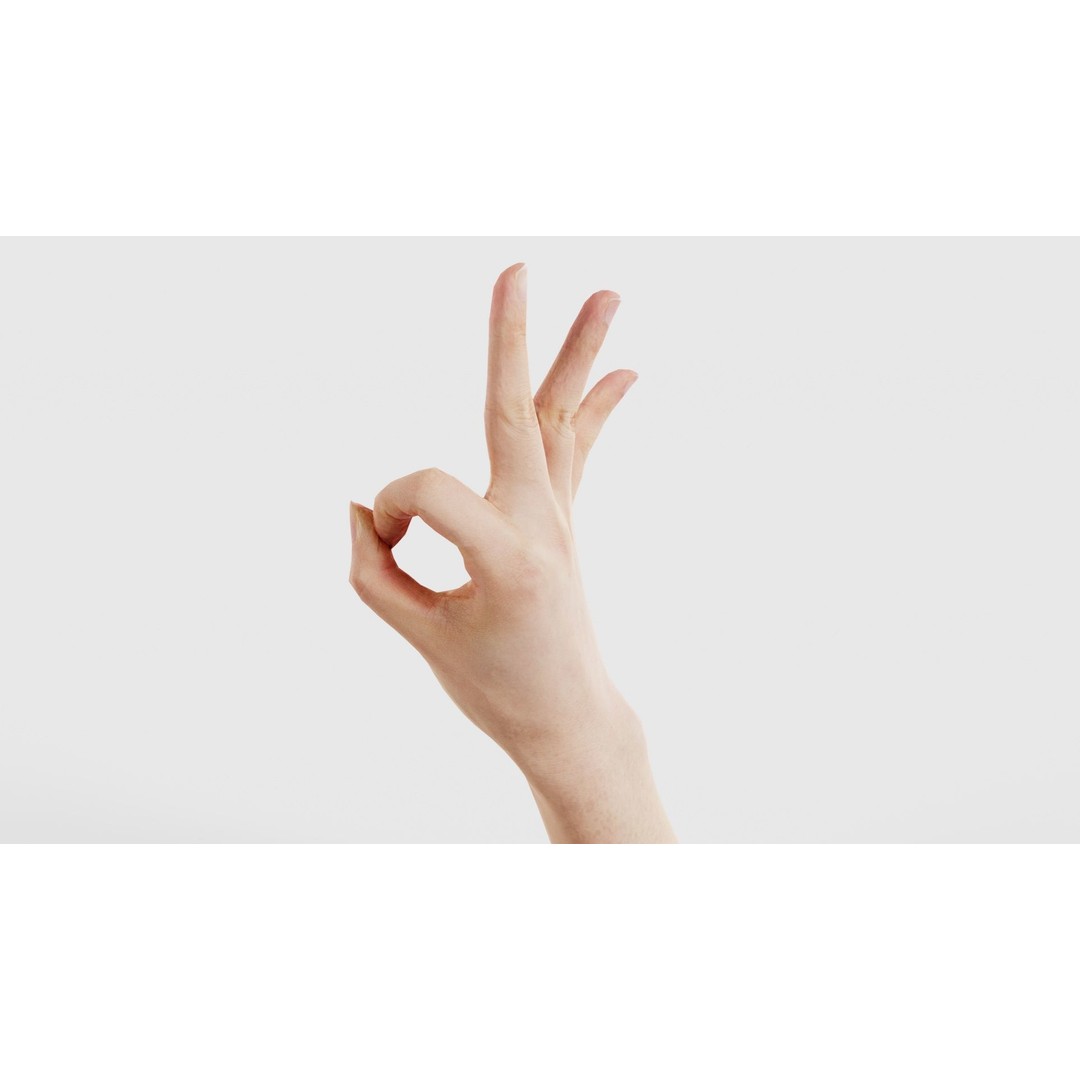 Hand Gesture 3D Model – Low Poly Character with PBR Textures, FBX - View 24