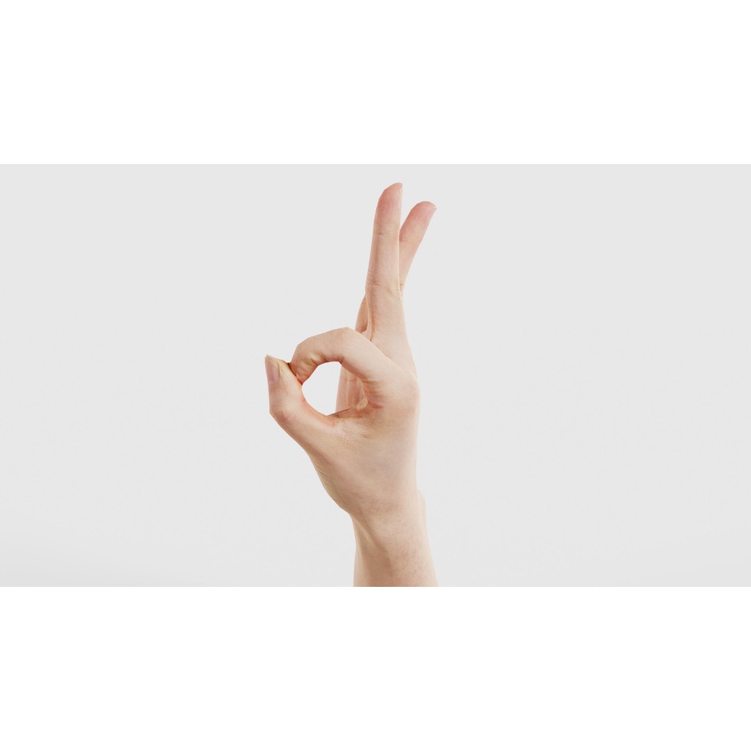 Hand Gesture 3D Model – Low Poly Character with PBR Textures, FBX - View 25