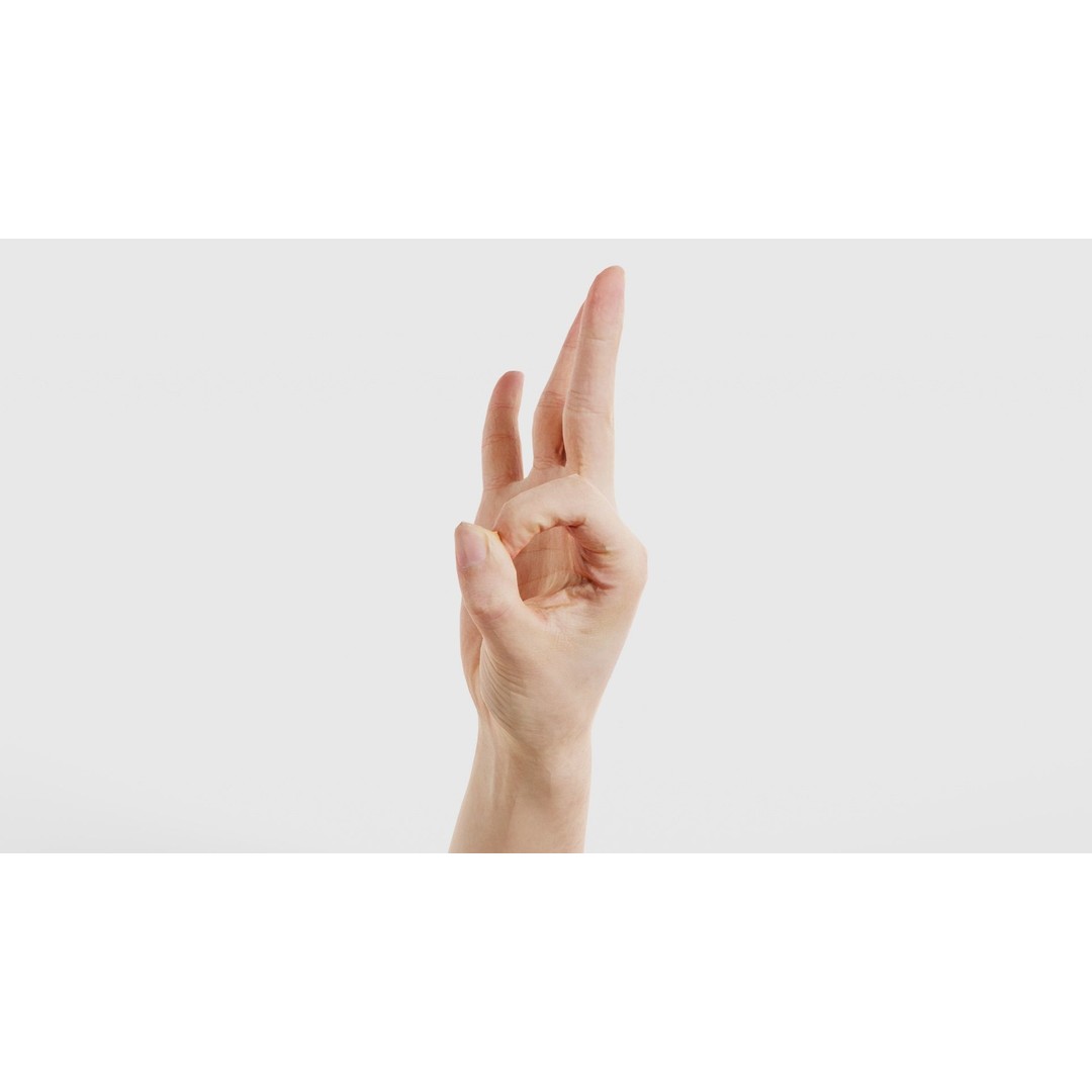 Hand Gesture 3D Model – Low Poly Character with PBR Textures, FBX - View 26
