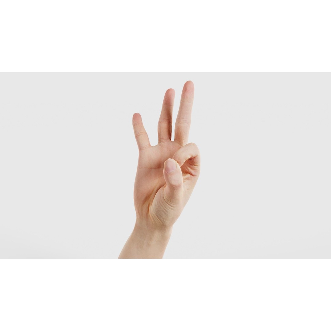 Hand Gesture 3D Model – Low Poly Character with PBR Textures, FBX - View 27