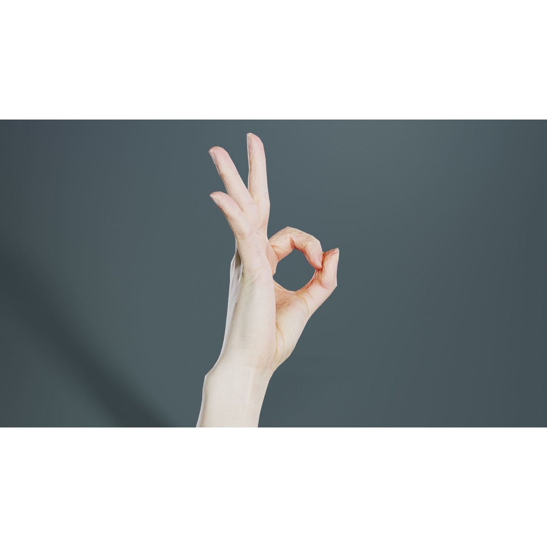 Hand Gesture 3D Model – Low Poly Character with PBR Textures, FBX - View 5