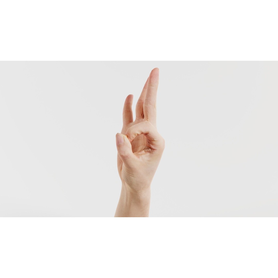 Hand Gesture 3D Model – Low Poly Character with PBR Textures, FBX - View 6
