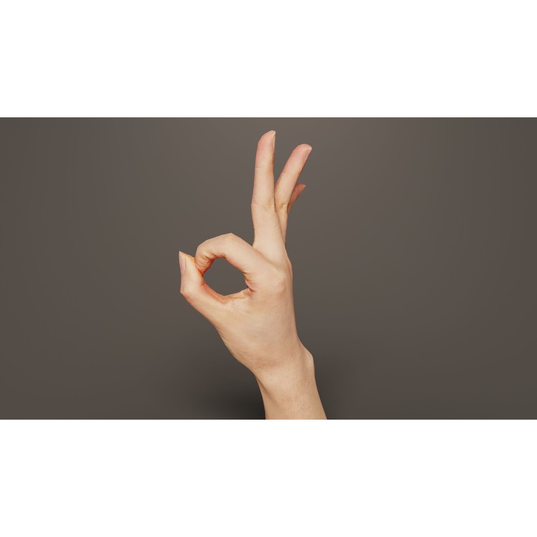 Hand Gesture 3D Model – Low Poly Character with PBR Textures, FBX - View 7