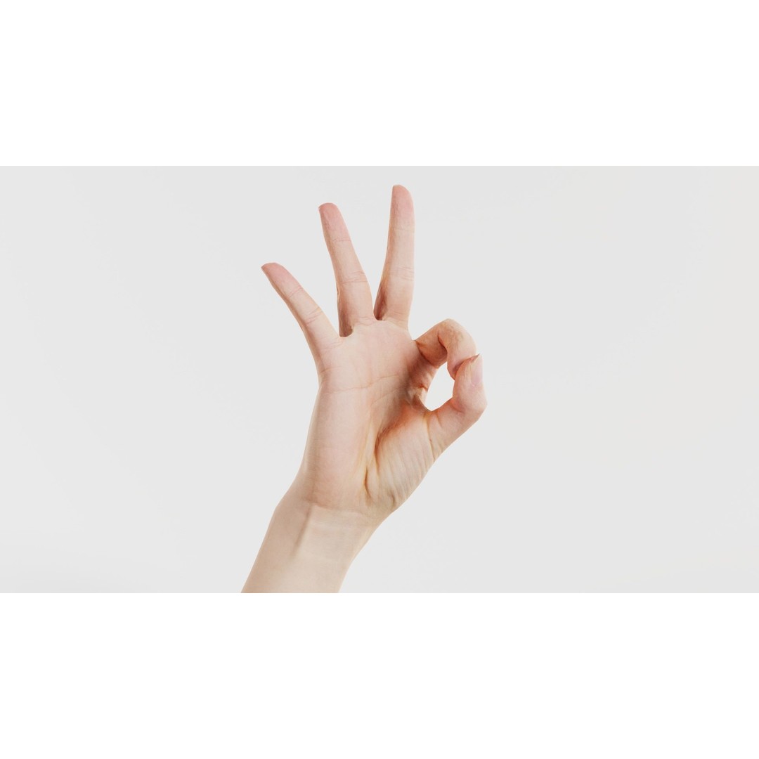 Hand Gesture 3D Model – Low Poly Character with PBR Textures, FBX - View 8