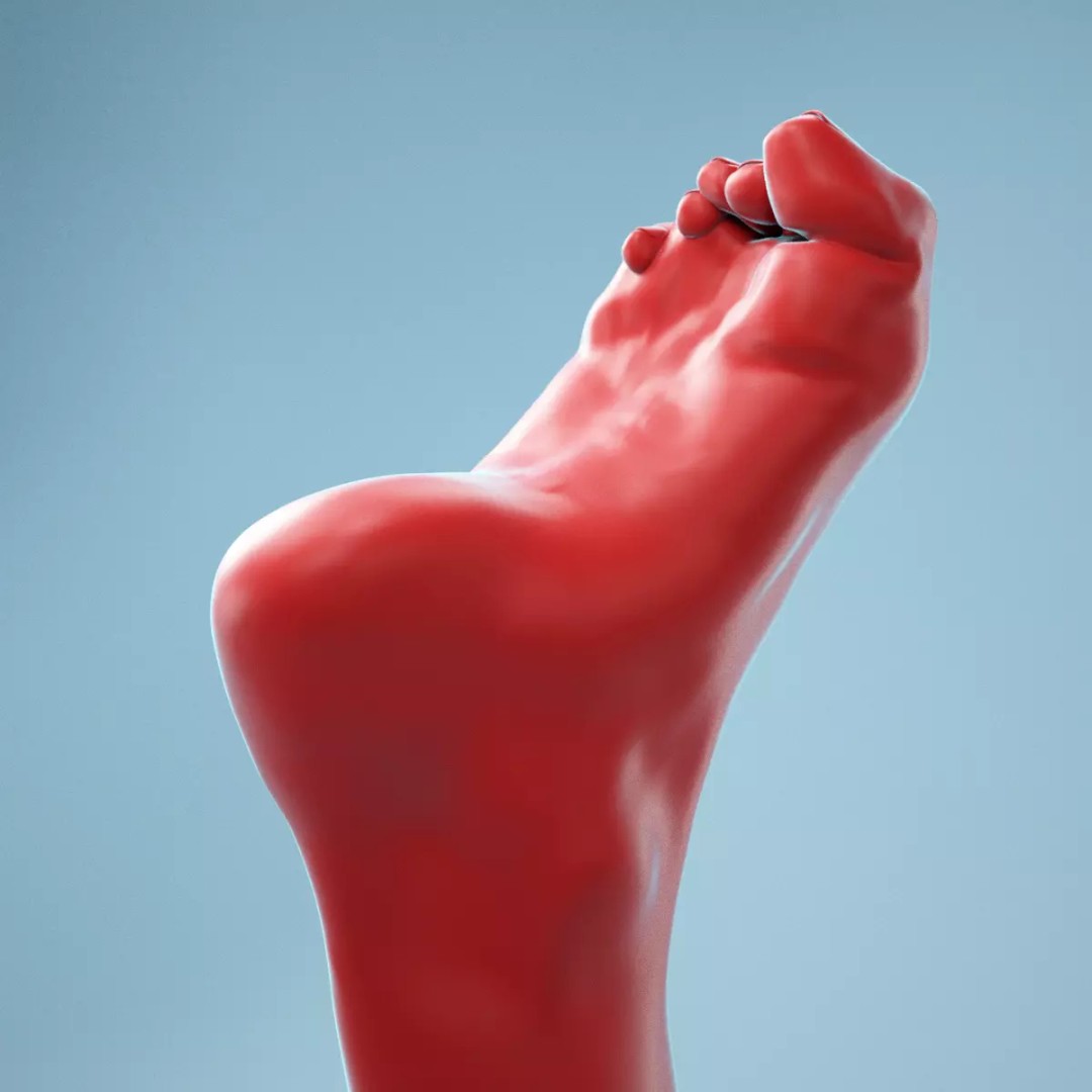 Claw Foot 3D Model – Realistic High Poly Foot, FBX, OBJ