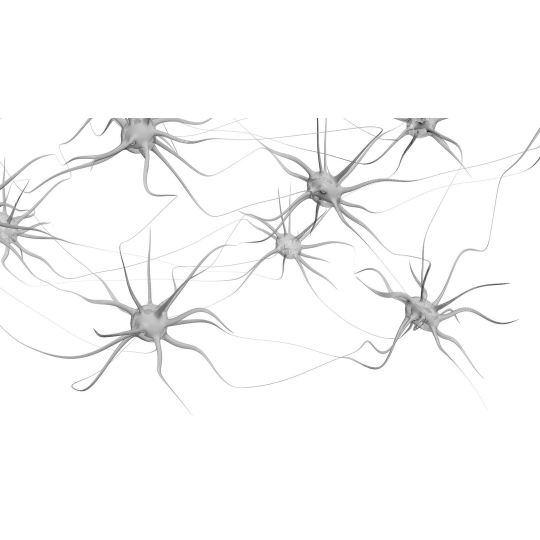 Neurons 3D Model – Animated Neural Network Visualization, FBX - View 10