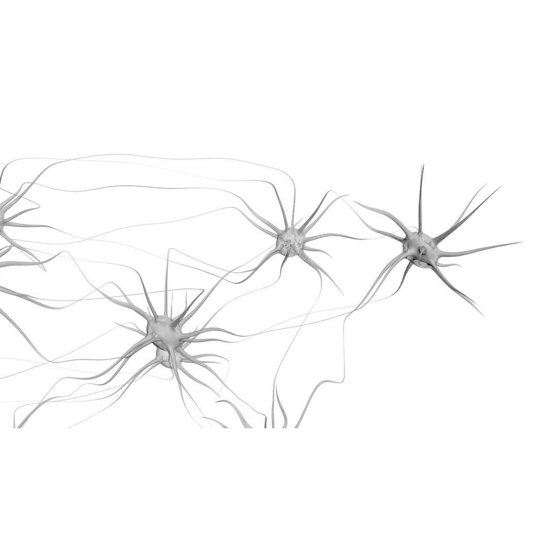 Neurons 3D Model – Animated Neural Network Visualization, FBX - View 11