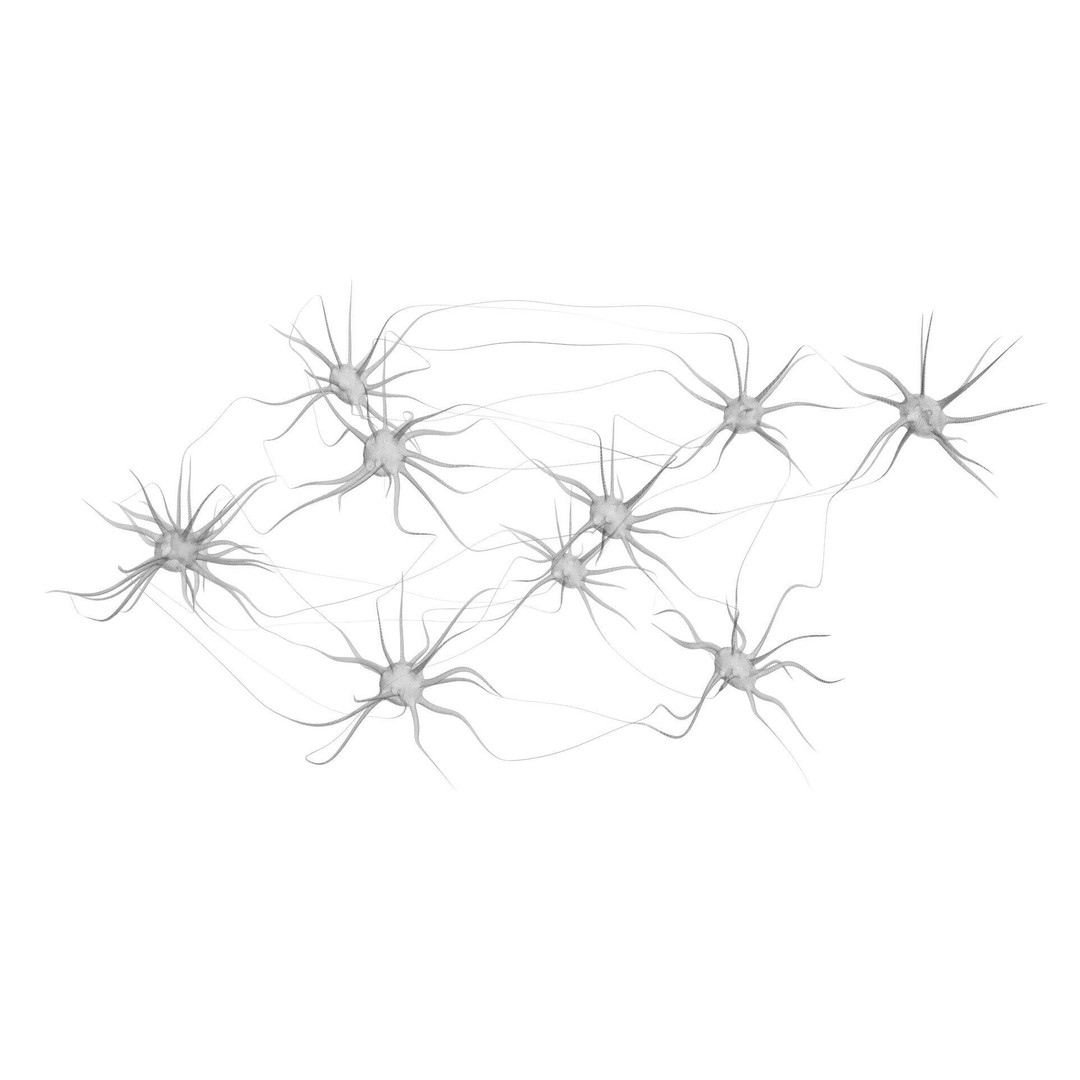 Neurons 3D Model – Animated Neural Network Visualization, FBX - View 12