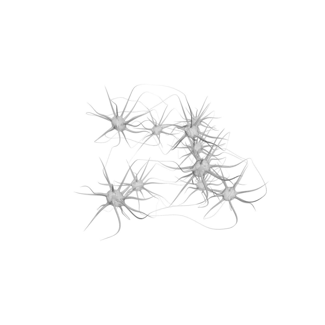 Neurons 3D Model – Animated Neural Network Visualization, FBX - View 13