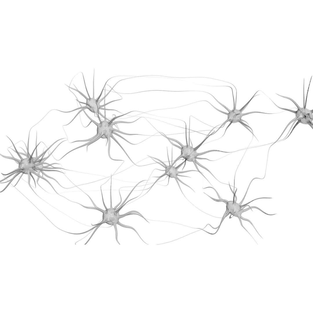 Neurons 3D Model – Animated Neural Network Visualization, FBX - View 14