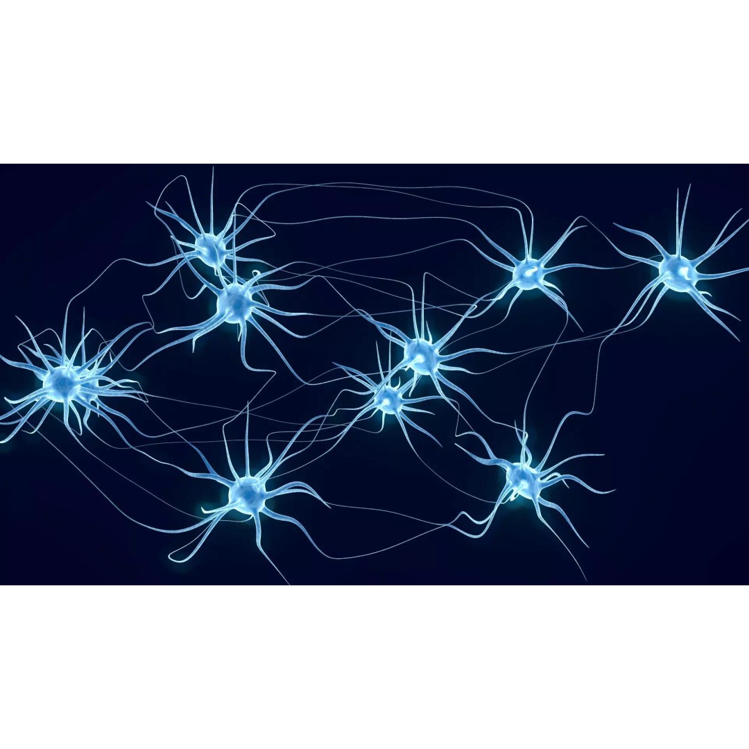 Neurons 3D Model – Animated Neural Network Visualization, FBX - View 2