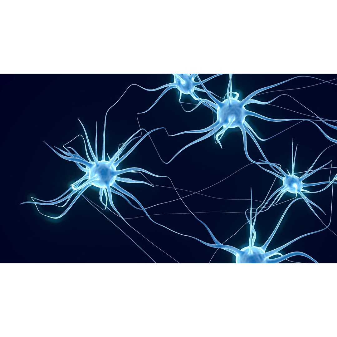 Neurons 3D Model – Animated Neural Network Visualization, FBX - View 3