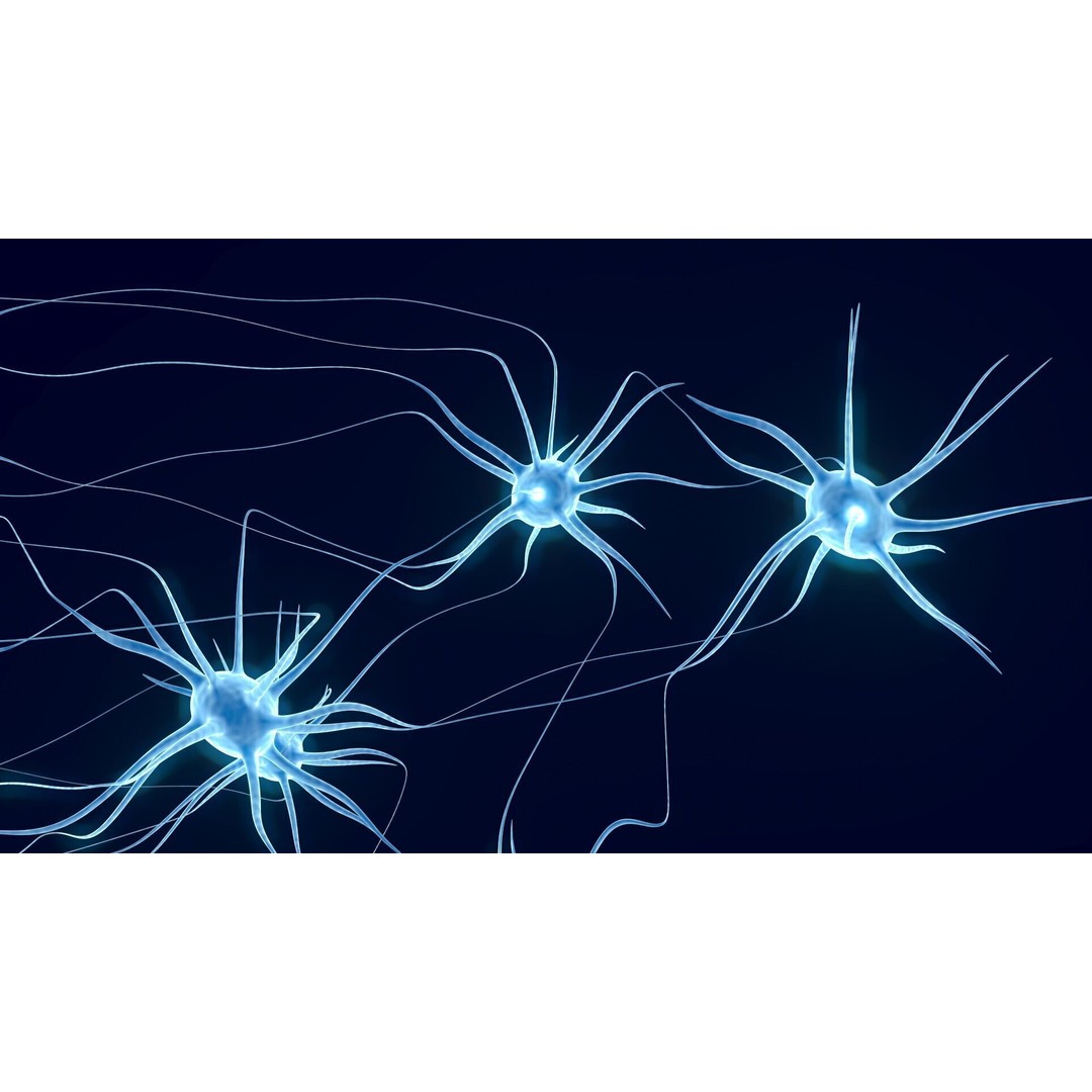 Neurons 3D Model – Animated Neural Network Visualization, FBX - View 4