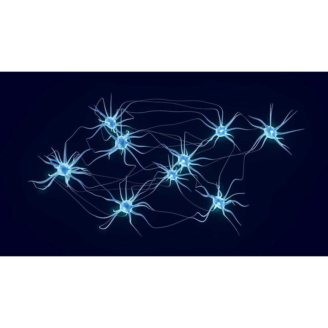 Neurons 3D Model – Animated Neural Network Visualization, FBX - View 5