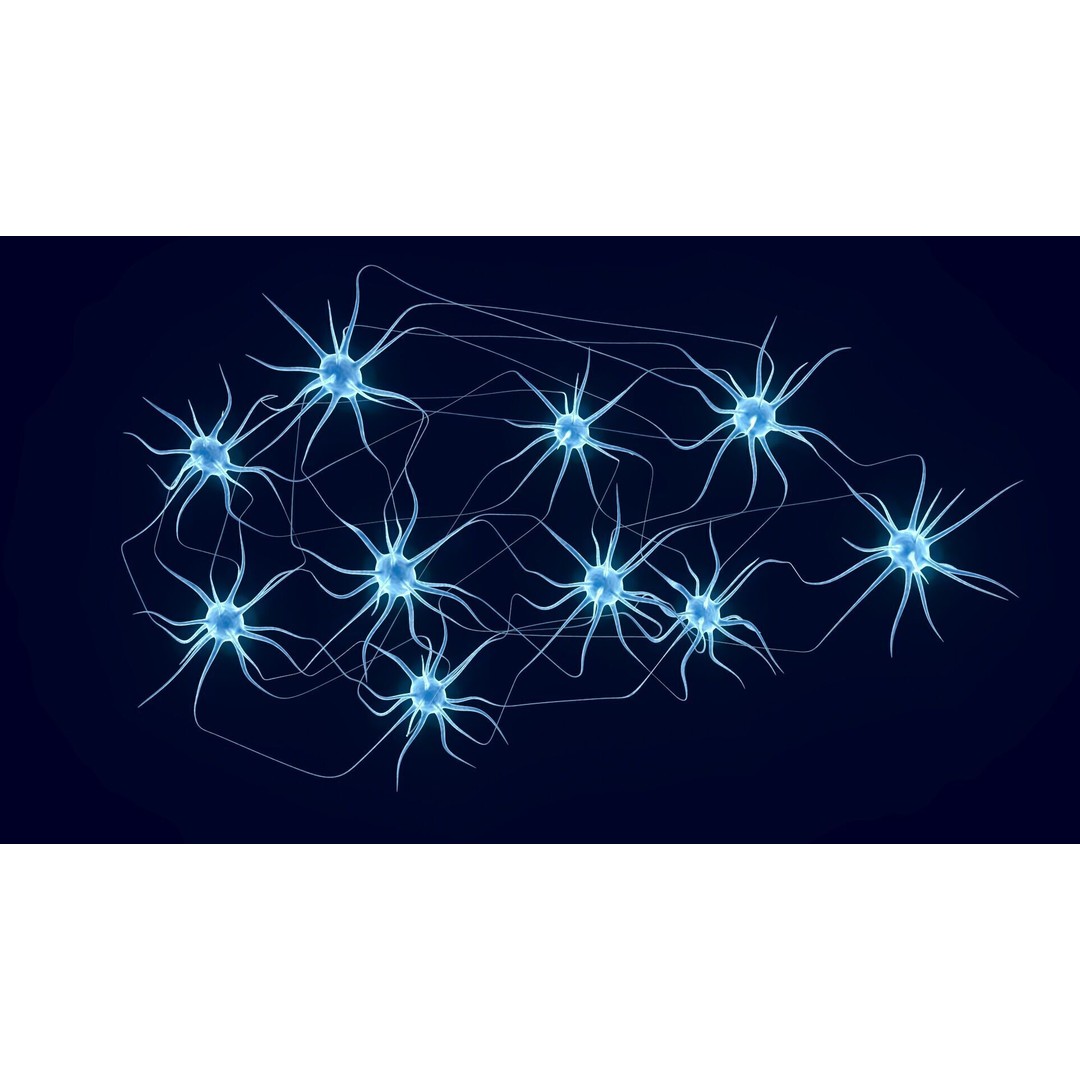 Neurons 3D Model – Animated Neural Network Visualization, FBX - View 6