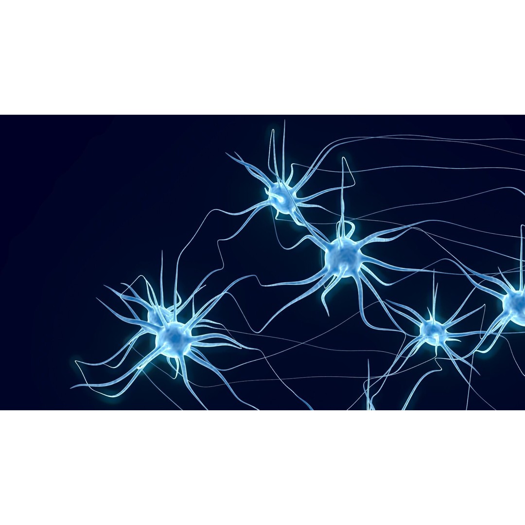 Neurons 3D Model – Animated Neural Network Visualization, FBX - View 7