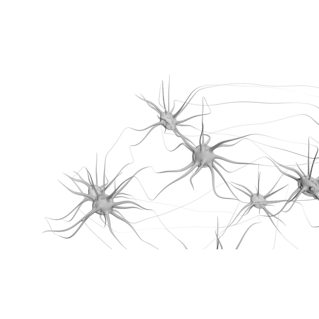 Neurons 3D Model – Animated Neural Network Visualization, FBX - View 9