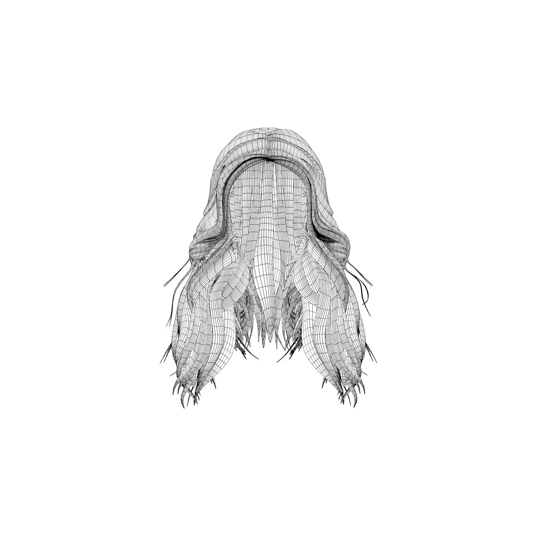 Wavy Long Hair 3D Model – High Volume Low Poly Asset, FBX - View 10