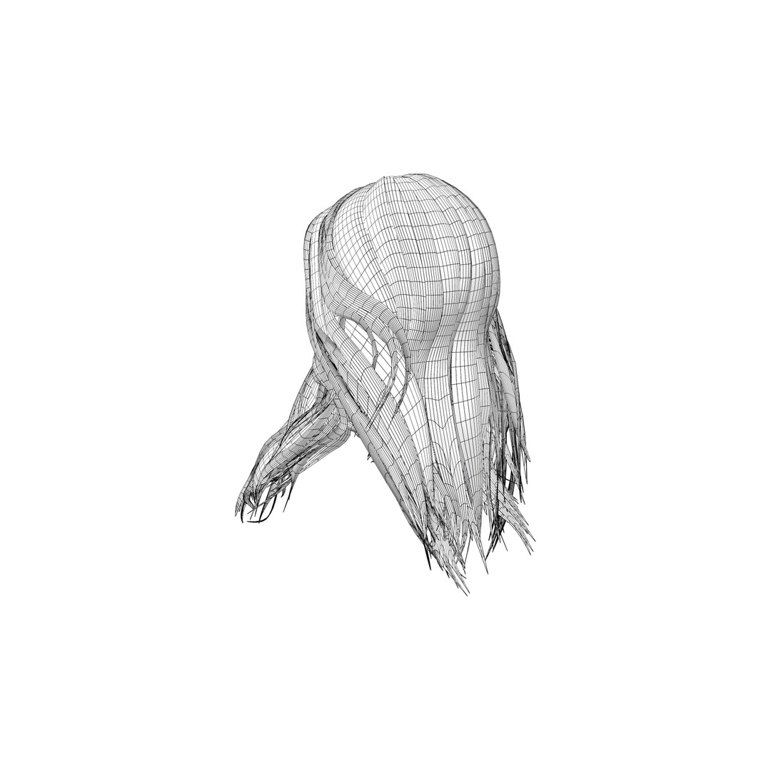 Wavy Long Hair 3D Model – High Volume Low Poly Asset, FBX - View 11
