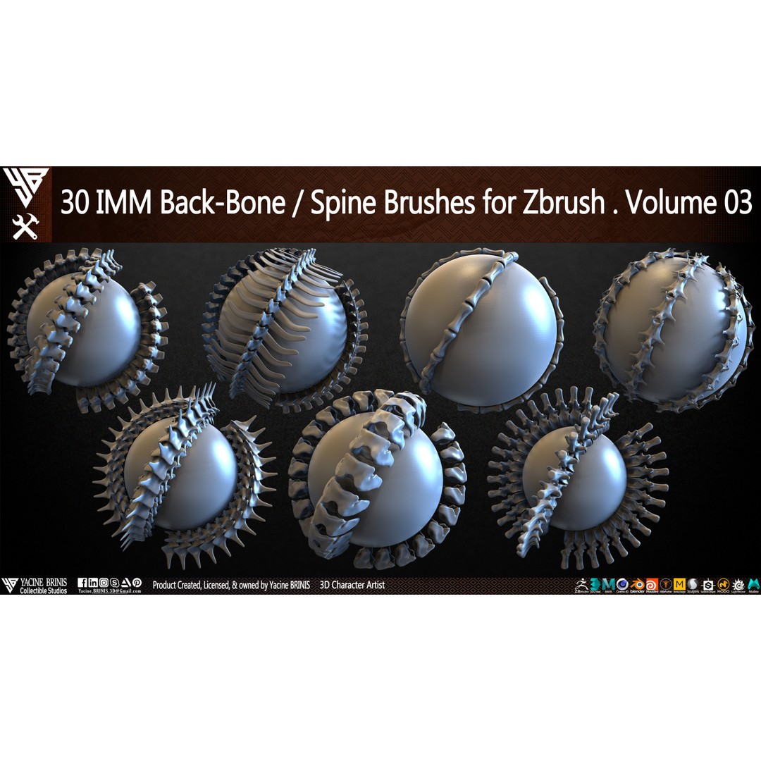 30 IMM Back-Bone 3D Model – Low Poly ZBrush Brushes for Anatomy