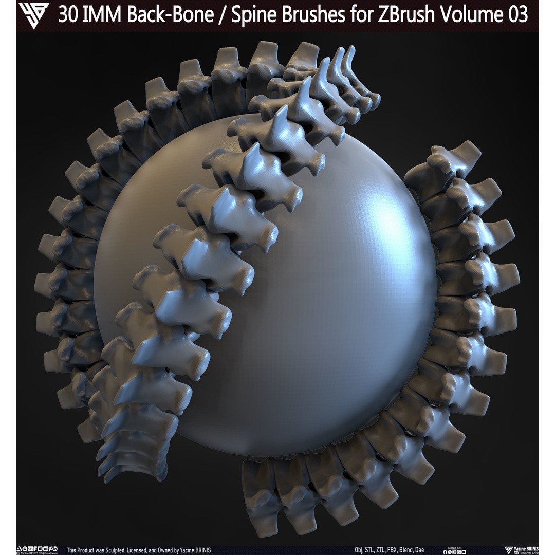 30 IMM Back-Bone 3D Model – Low Poly ZBrush Brushes for Anatomy - View 10