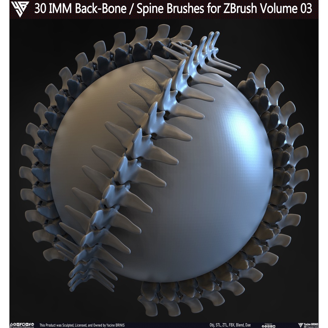 30 IMM Back-Bone 3D Model – Low Poly ZBrush Brushes for Anatomy - View 11
