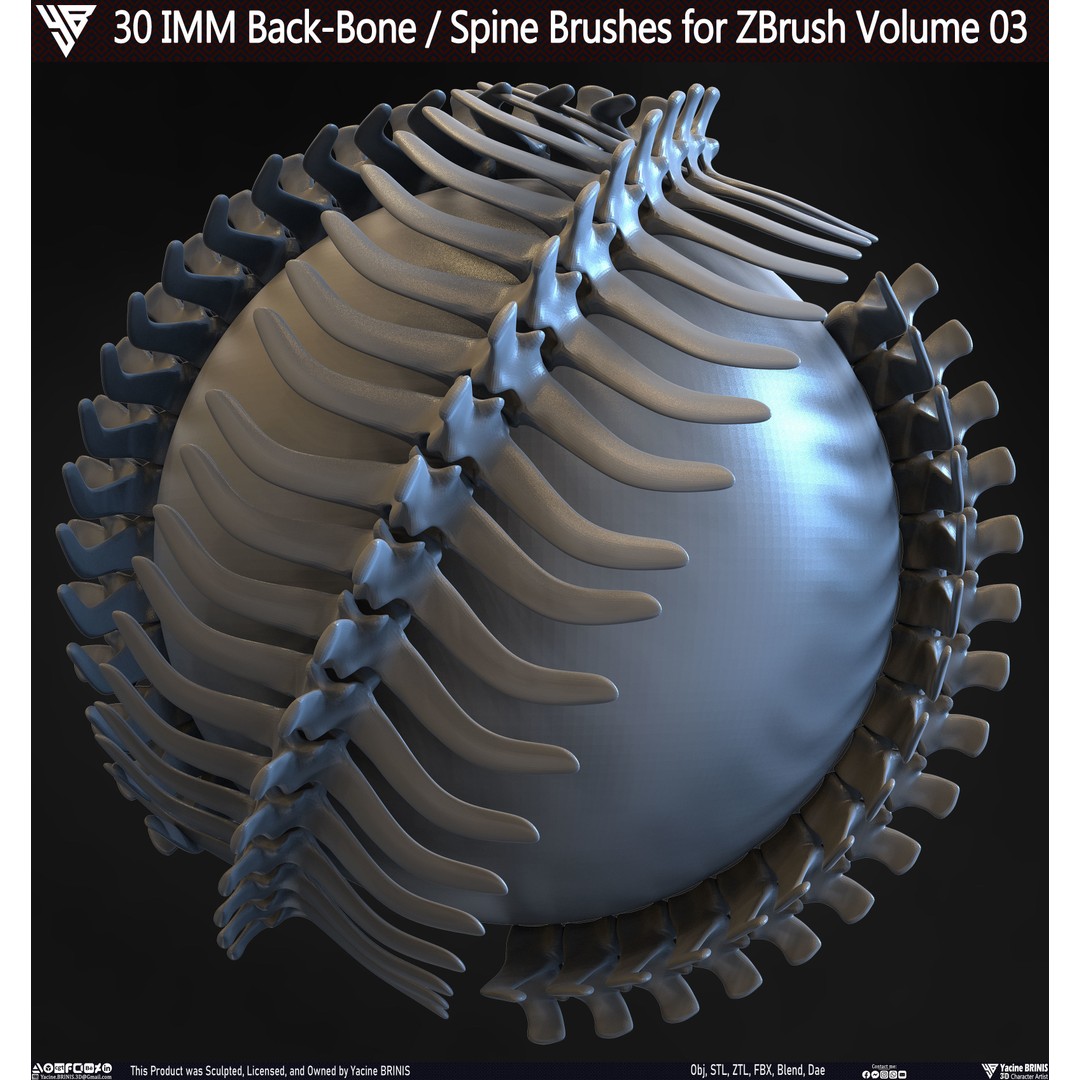 30 IMM Back-Bone 3D Model – Low Poly ZBrush Brushes for Anatomy - View 12