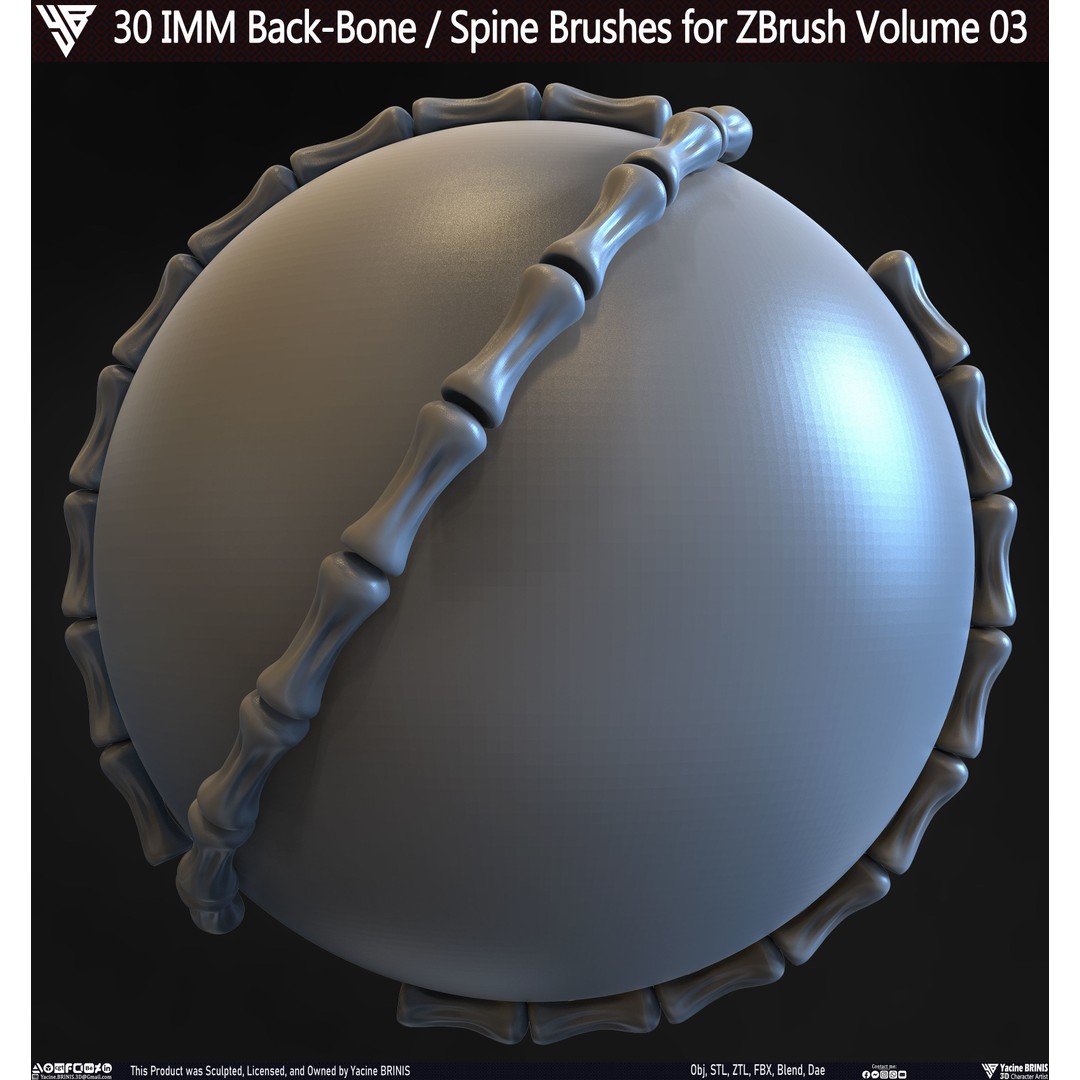30 IMM Back-Bone 3D Model – Low Poly ZBrush Brushes for Anatomy - View 13