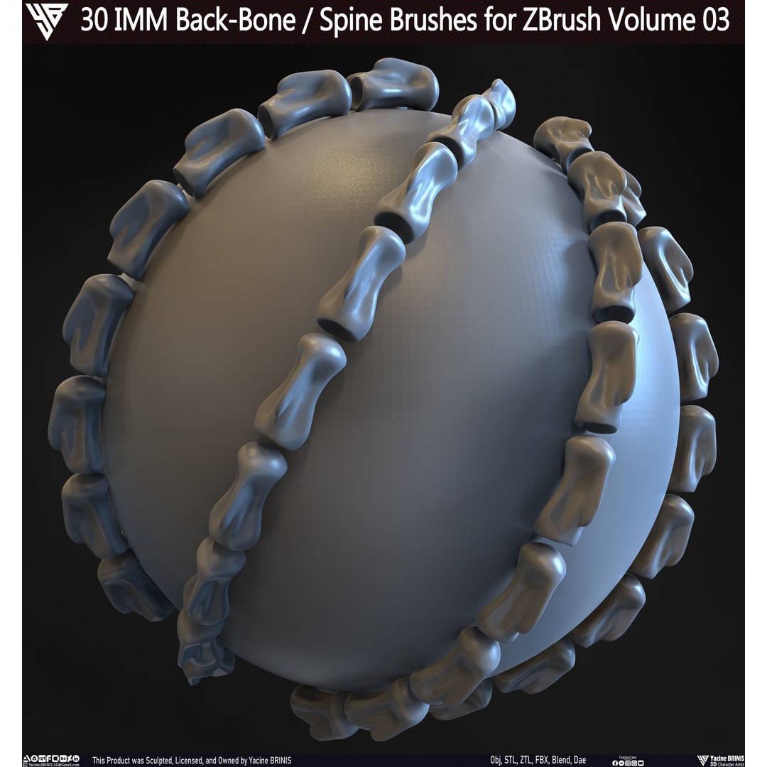 30 IMM Back-Bone 3D Model – Low Poly ZBrush Brushes for Anatomy - View 14