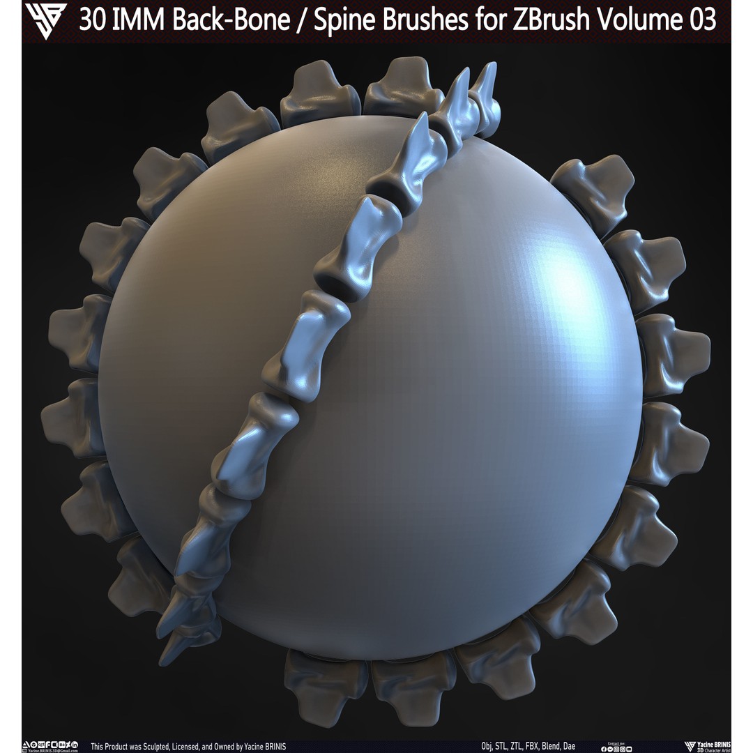 30 IMM Back-Bone 3D Model – Low Poly ZBrush Brushes for Anatomy - View 15