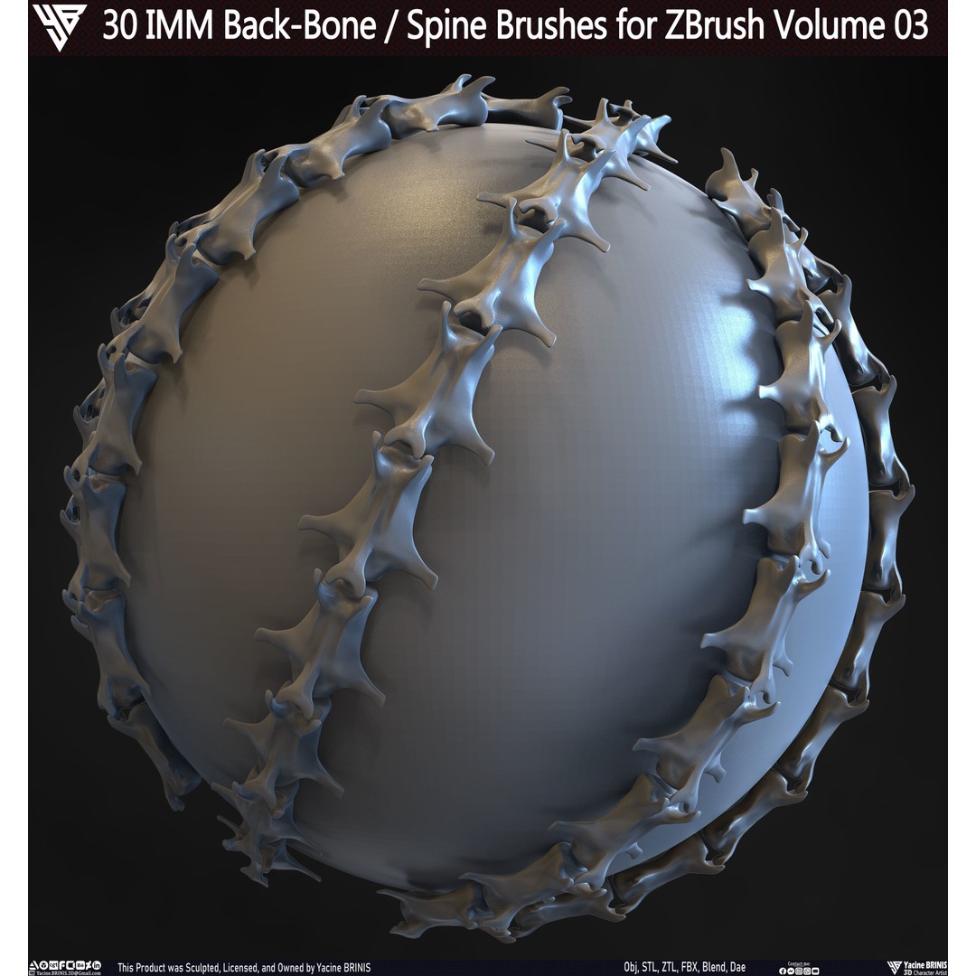 30 IMM Back-Bone 3D Model – Low Poly ZBrush Brushes for Anatomy - View 16