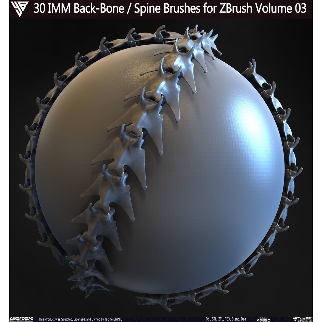 30 IMM Back-Bone 3D Model – Low Poly ZBrush Brushes for Anatomy - View 17
