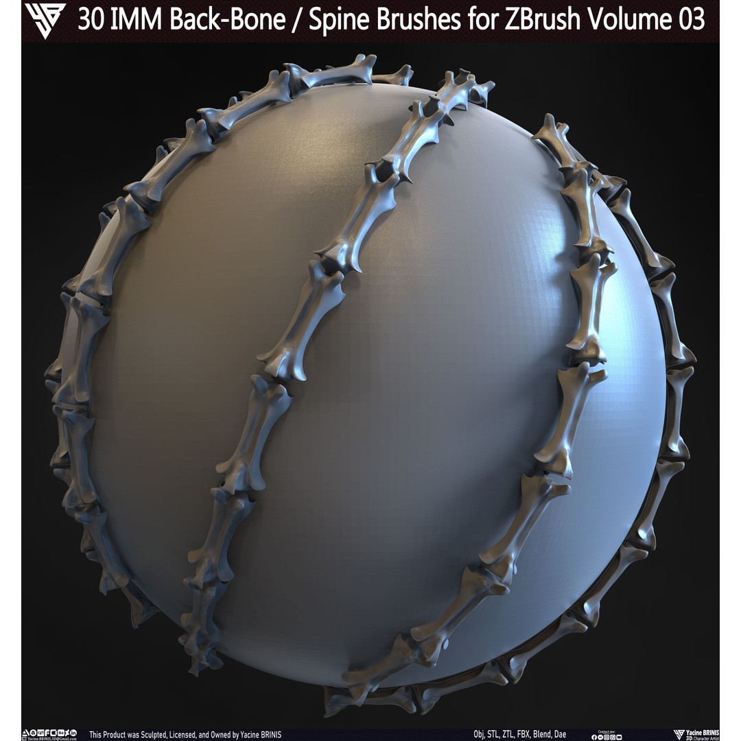 30 IMM Back-Bone 3D Model – Low Poly ZBrush Brushes for Anatomy - View 18