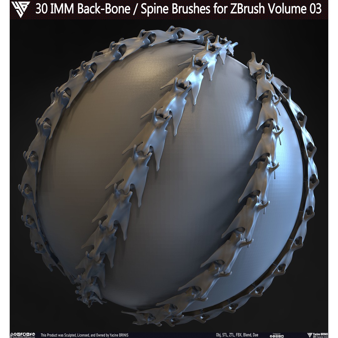 30 IMM Back-Bone 3D Model – Low Poly ZBrush Brushes for Anatomy - View 19