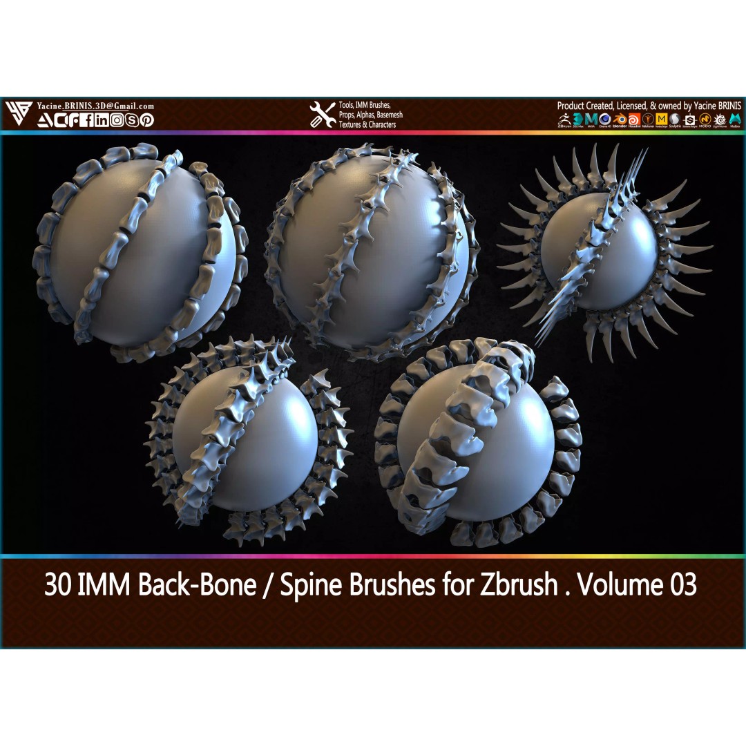 30 IMM Back-Bone 3D Model – Low Poly ZBrush Brushes for Anatomy - View 2