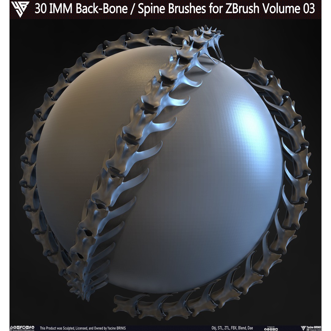 30 IMM Back-Bone 3D Model – Low Poly ZBrush Brushes for Anatomy - View 20