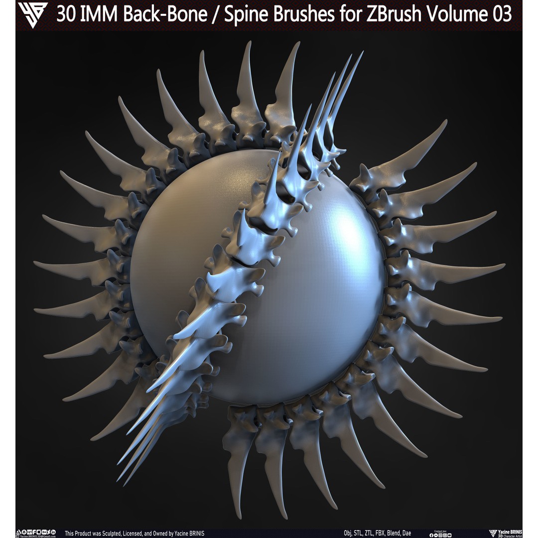 30 IMM Back-Bone 3D Model – Low Poly ZBrush Brushes for Anatomy - View 21