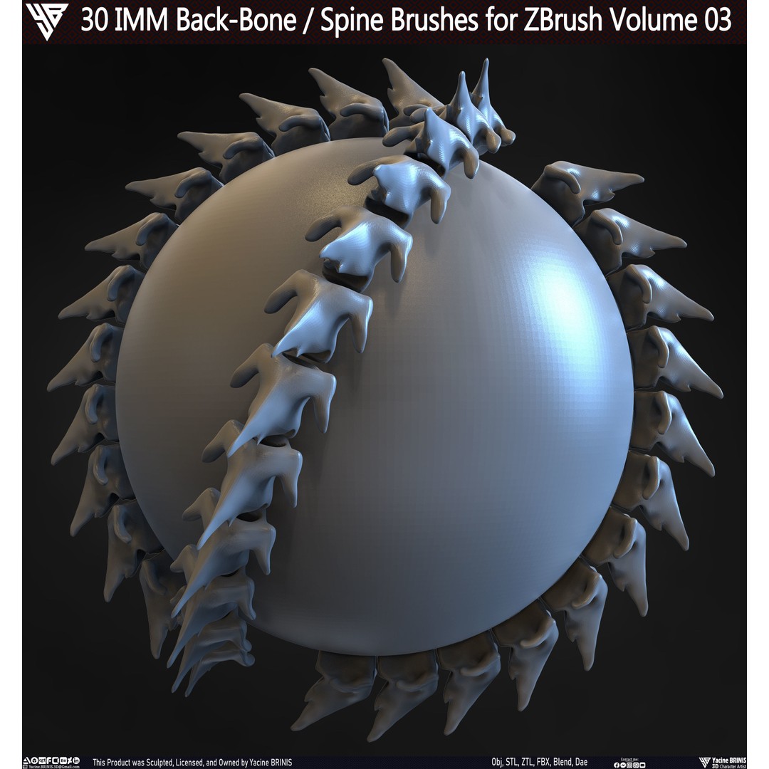 30 IMM Back-Bone 3D Model – Low Poly ZBrush Brushes for Anatomy - View 22