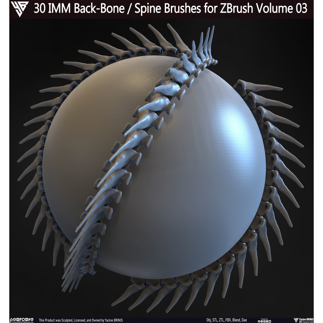 30 IMM Back-Bone 3D Model – Low Poly ZBrush Brushes for Anatomy - View 23