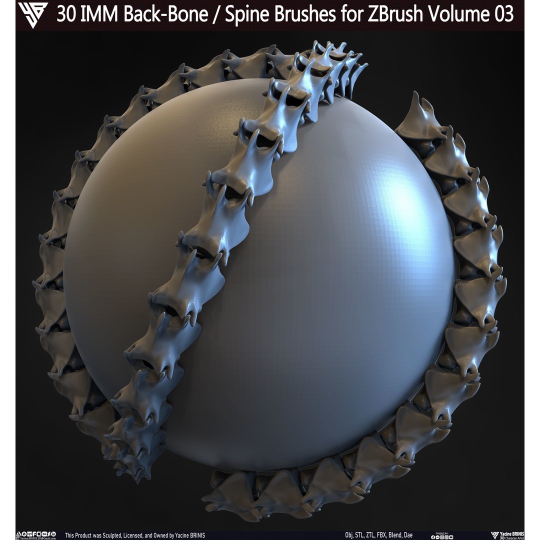 30 IMM Back-Bone 3D Model – Low Poly ZBrush Brushes for Anatomy - View 24